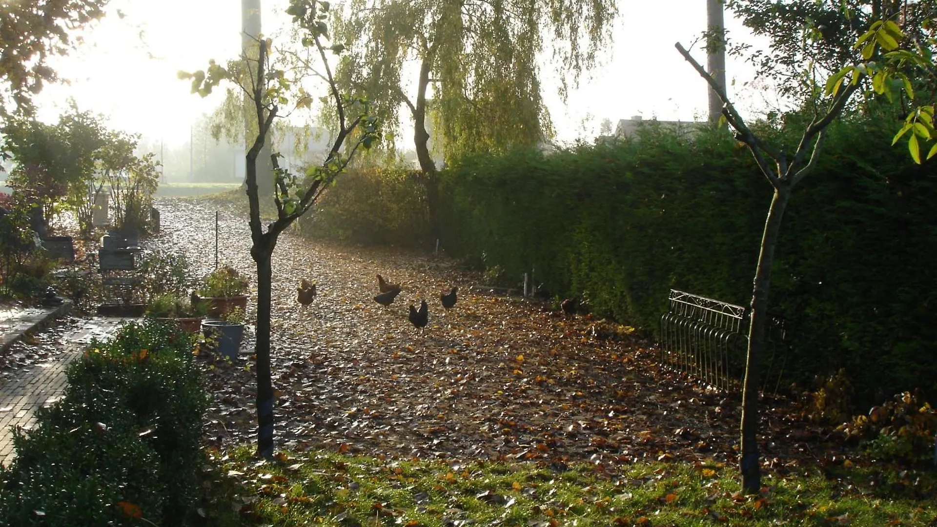 Bed & Breakfast B&B Le Coquin Brugge